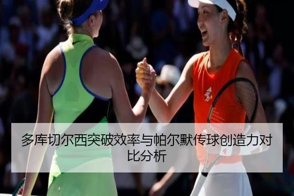 duo-ku-qie-er-xi-tu-po-xiao-lv-yu-pa-er-mo-chuan-qiu-chuang-zao-li-dui-bi-fen-xi-2-793.jpg