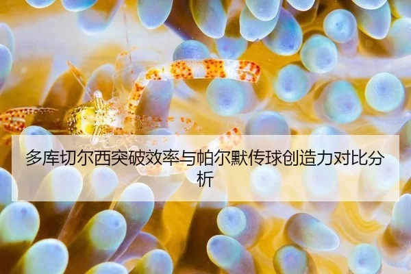 多库切尔西突破效率与帕尔默传球创造力对比分析