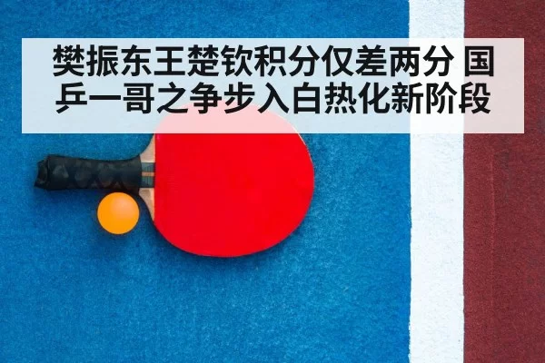 table tennis racket close up