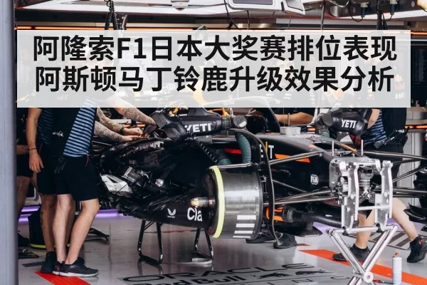 Formula 1 garage engineers